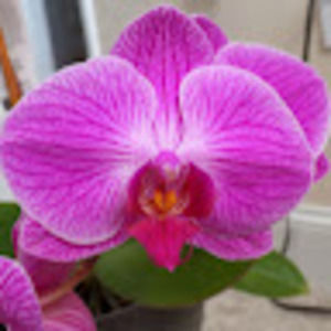 Meet your Posher, Marissa